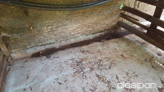 REMATO GRANJA EN CAPIATA POR 60.000.000!!! — foto 3