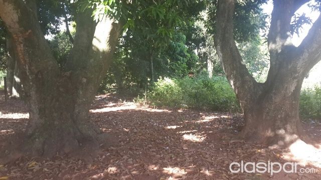 VENDO TERRENO EN CAPIATA — foto 3