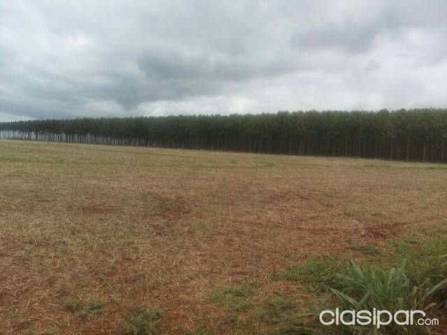 Vendo 5.8 hectáreas en Colonia Toryvete Hernandarias! — foto 3