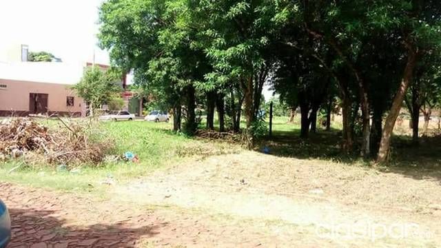 4 TERRENOS JUNTOS VALOR POR SEPARADO — foto 2