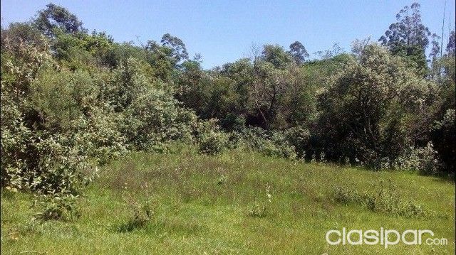 Vendo 4 hectareas de Tierra — foto 3
