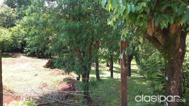 VENDO O PERMUTO TERRENO SOBRE ASFALTO KM 6 ACARAY — foto 2