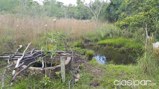 VENDO GRANJA-QUINTA-PROPIEDAD — foto 2