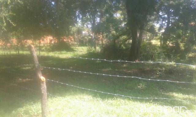 VENDO TERRENO ZONA M.ROQUE.ALONSO — foto 3