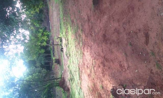 Vendo 3 lotes juntos en valle pucu aregua a 3 cuadras de Avda las Residentas — foto 2