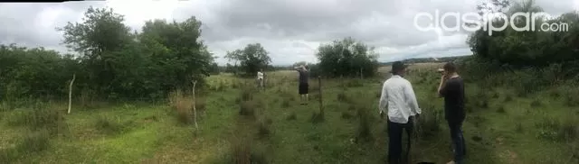 vendo 10.5 hectareas de tierra virgen en Loma Grande — foto 2
