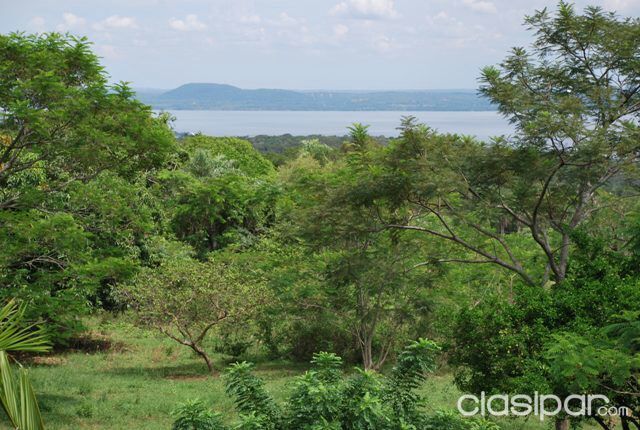 15 HAS EN SAN BERNARDINO CON VISTA EL LAGO EN ALTURA — foto 2