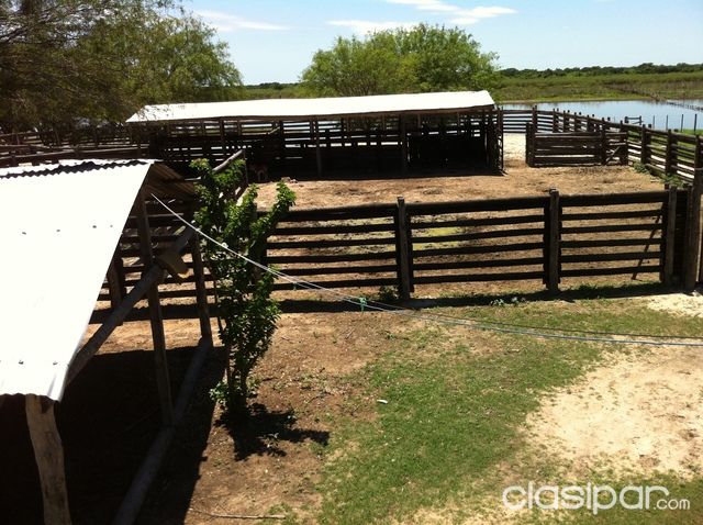 Vendo linda Estancia al lado del rio cerca de Vallemi ( Terreno de 941 hectáreas ) — foto 2