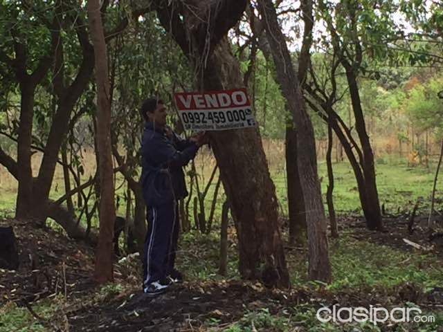 Atencion San Bernardino — foto 3