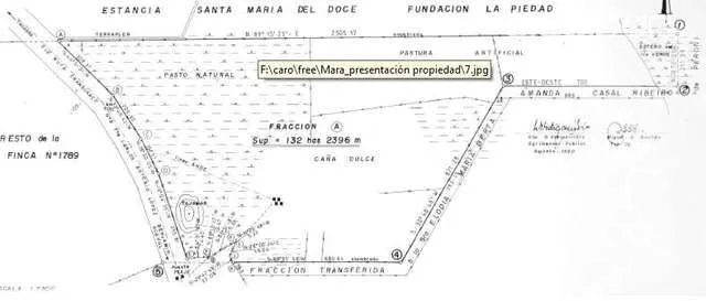 TERRENO PTE HAYES PARA ESTANCIA 3442 HECTAREAS — foto 2