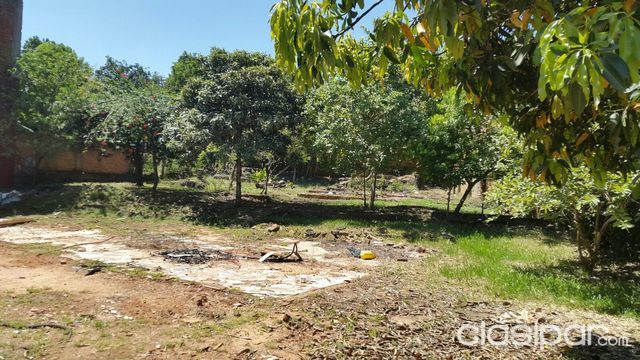 Terreno en Encarnacion — foto 3