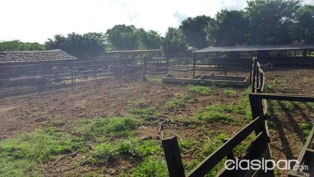 Terreno con tambo — foto 3