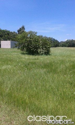 VENDO TERRENOS RUTA AREGUA - YPACARAI — foto 2