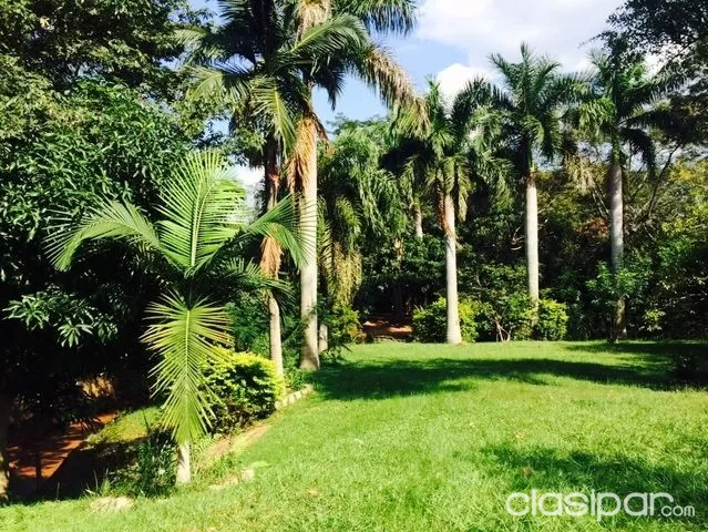 Venta de una quinta en cañadita ñeemby — foto 2