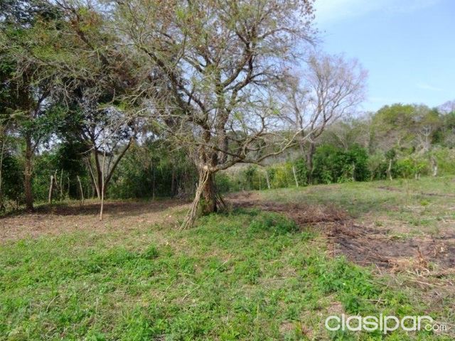 EN VENTA HERMOSO TERRENO CON GALPON EN ALTOS!!!! — foto 3