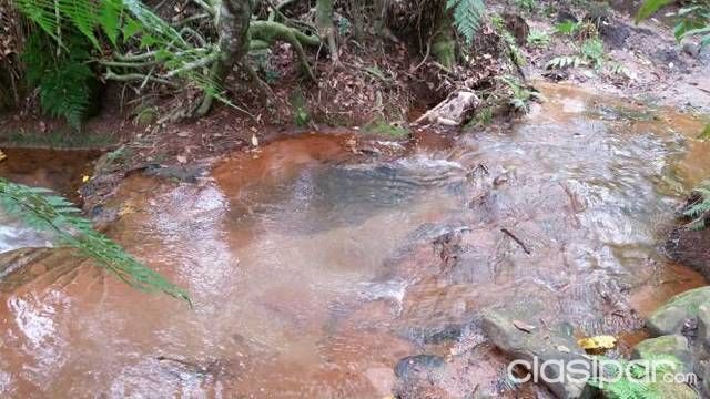 Terreno rural virgen — foto 3