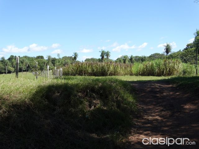 VENDO GRANJA EN PARAGUARI. 70 ha. — foto 3