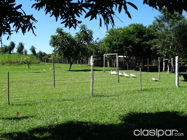 VENDO GRANJA EN PARAGUARI — foto 3
