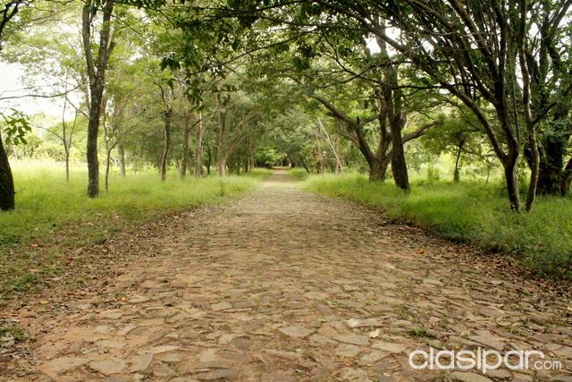 Vendo casa quinta en Luque — foto 2