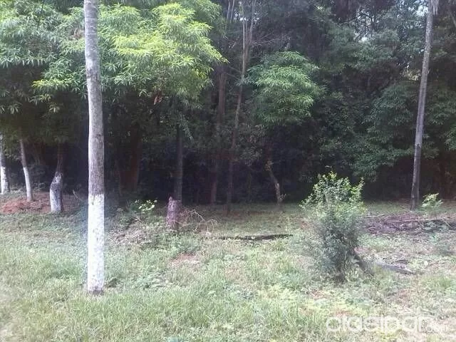 PROPIEDAD DE 3132 MT2 EN VENTA — foto 3