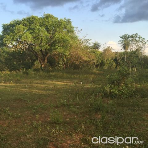 Quinta de 4 has. Luque — foto 2