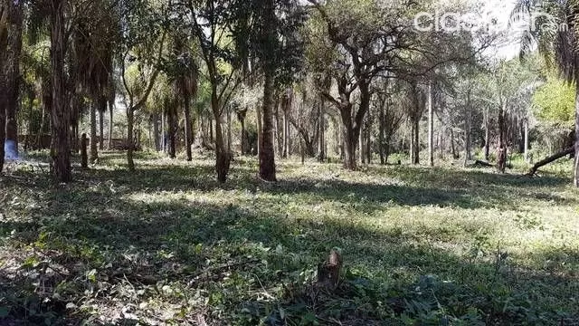 TERRENO EN SAN BERNARDINO — foto 3