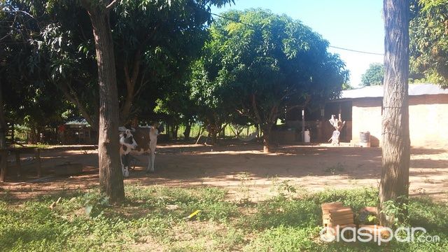 Vendo Terreno en Atyra. — foto 2