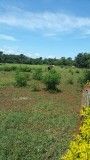 Granja... Atencion Ciudad del Este!! — foto 2
