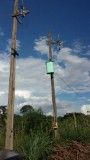 Granja... Atencion Ciudad del Este!! — foto 3