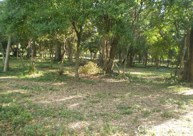 El Terreno De Tus Sueños Te Está Esperando En Aregua — foto 2