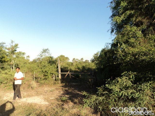 Atencion inversionistas. Oferto 25 hectarias en la zona de chacoi.... — foto 2