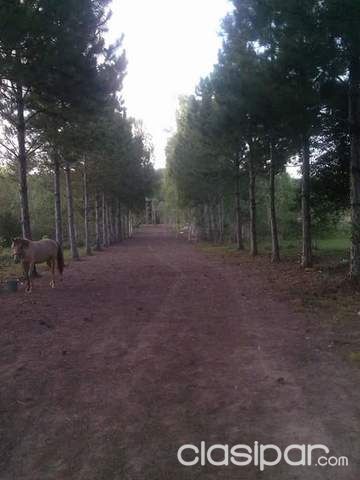CAMBIO DIRECTO TERRENO POR VEHICULO — foto 2