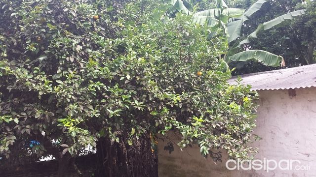 vendo hermoso terreno — foto 2