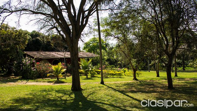OFERTA QUINTA EN CAACUPE — foto 2