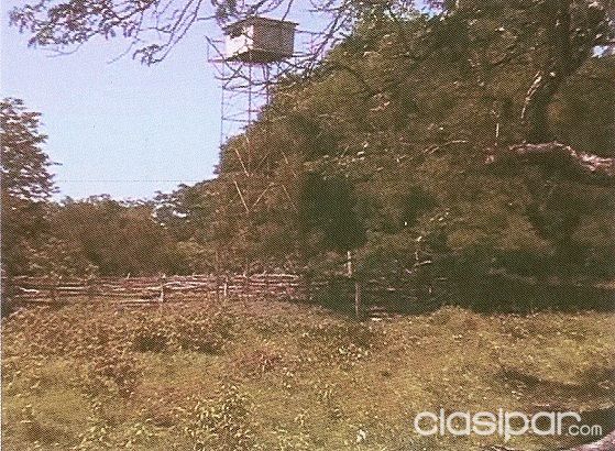 Vendo 30 ha en Tarumandy Luque — foto 2