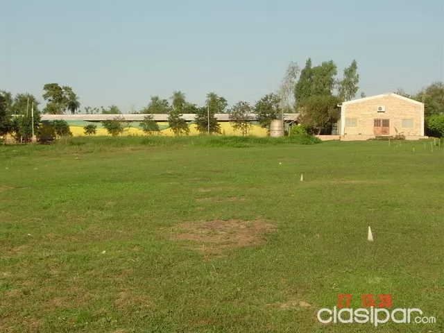VENDO GRANJA de 10Ha en Loma GrandeNva.Colombia — foto 2