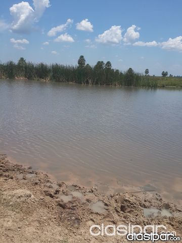 !!!!!!!!!!!!-VENDO HERMOSO CAMPO.....!!!!!!! — foto 3