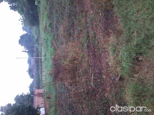 Vendo terreno en La Lomita Ñemby — foto 2