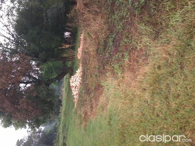 Vendo terreno en La Lomita Ñemby — foto 3