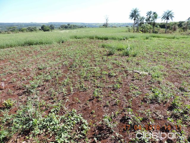 VENDO TERRENO DE 6 HECTAREAS titulado — foto 2