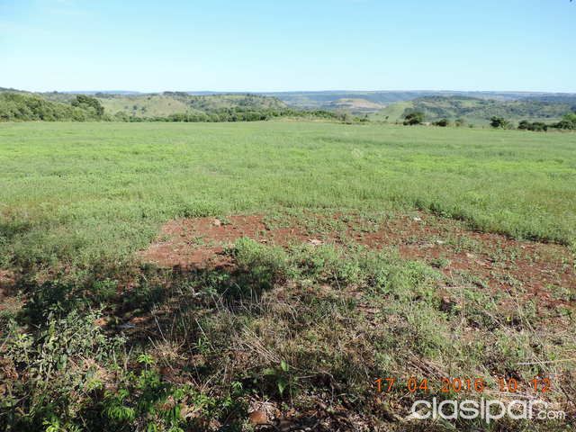 VENDO TERRENO DE 6 HECTAREAS titulado — foto 3