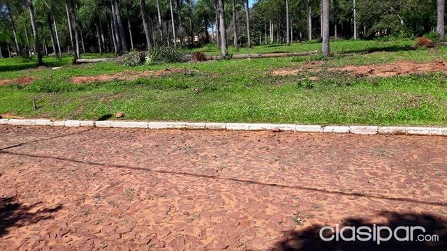 OFERTO HERMOSOS TERRENOS RESIDENCIALES DE CALLE A CALLE DE CALLE A CALLE -ZONA ALAMO -CAPIATA — foto 2