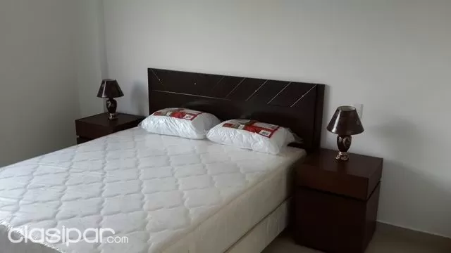 Departamento completamente AMOBLADO de 1 dormitorio a una cuadra de la Avda. Mcal Lopez — foto 2