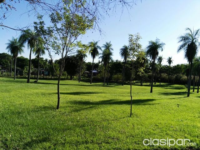 Propiedad camino a Luque Limpio — foto 2