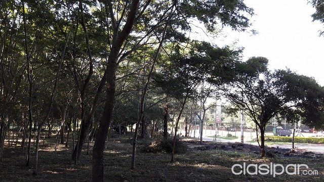 VENDO 10 LOTES SOBRE VON POLESKY, EN ESQUINA.FINANCIO — foto 2