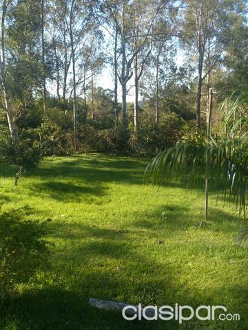 VENDO CASA QUINTA EN YTU — foto 3