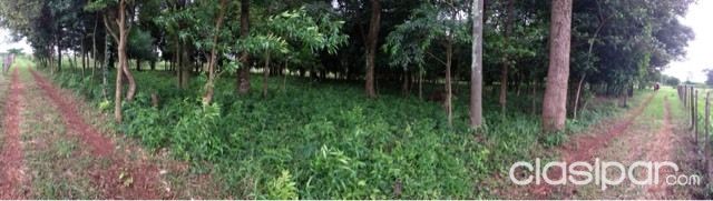 VENDO TERRENO Para Casa quinta — foto 2
