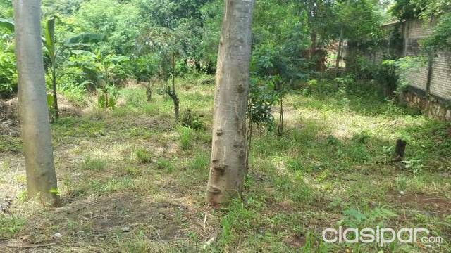 Hermoso terreno en mariano roque alonso — foto 2