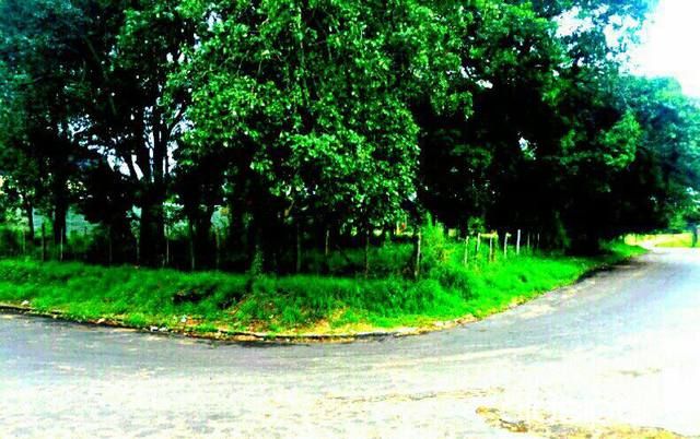Vendo dos terrenos FRENTE AL CAMPO DEPORTIVO DEL YACHT Y GOLF CLUB — foto 2