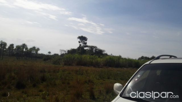 VENDO 11 HAS, CARAPEGUA-salida Nva.Italia-Ruta1 — foto 2
